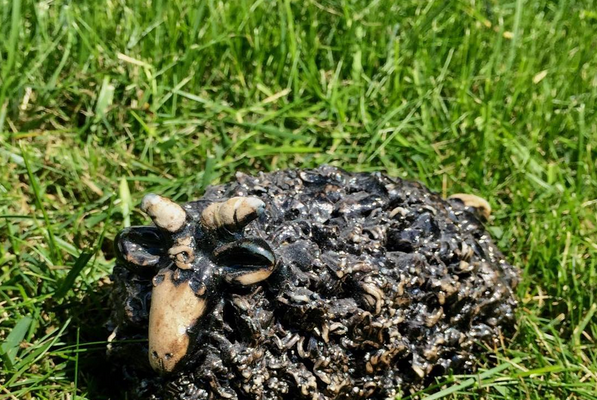 FÅR jag presentera…